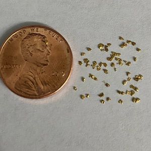 Alaskan Gold Nuggets